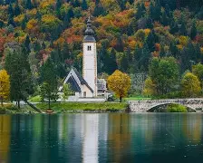 斯洛文尼亚喜悦胜利,冠军之路逐渐清晰 斯洛文尼亚喜悦胜利,冠军之路逐渐清晰