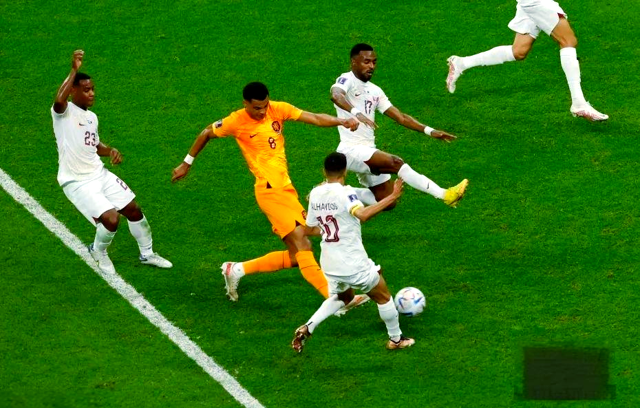 关于荷兰国家队成功晋级，展现出强大实力的信息