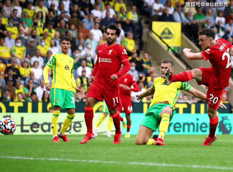 埃及跳水选手表现抢眼，获得金牌